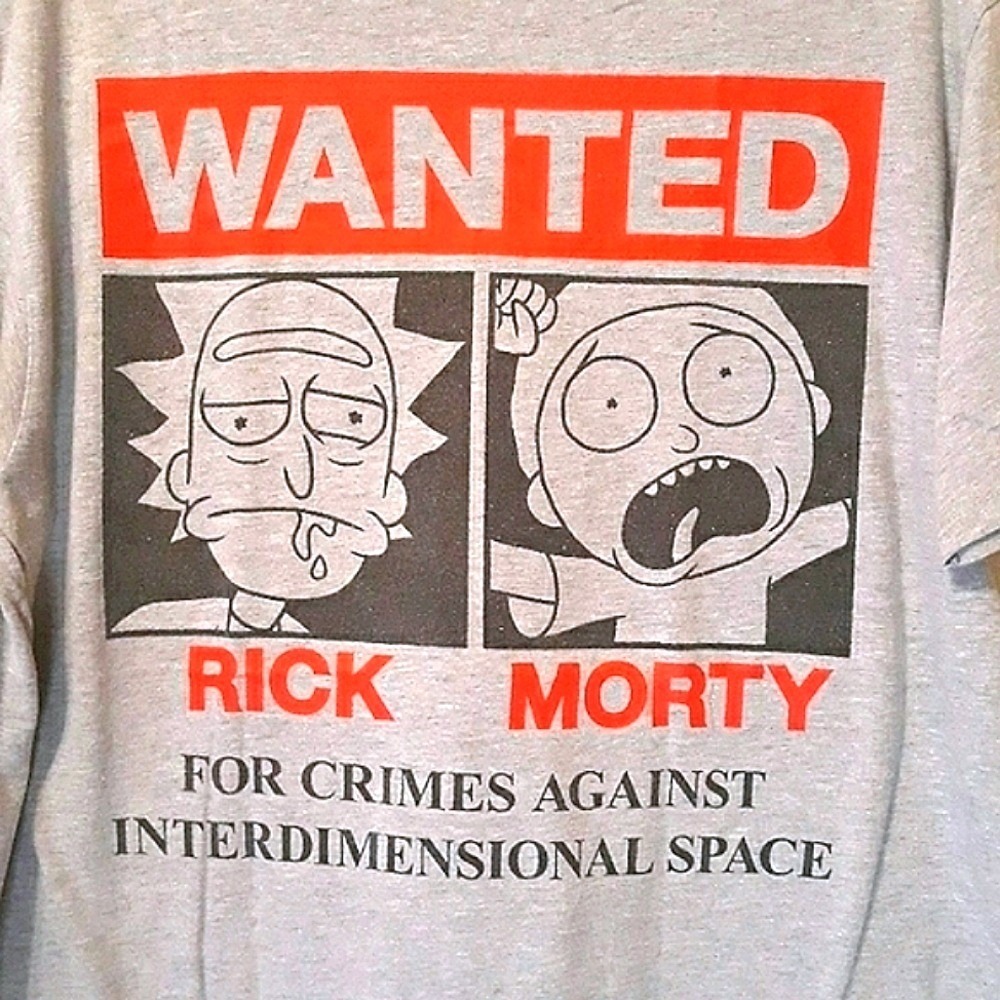 Rick and Morty Adult Swim Wanted‎ Poster Graphic Tee Grey Ripple Junction Large